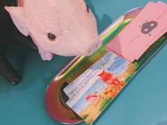 -WHEN PIGS FLY当猪飞