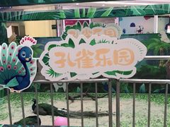 -保利MALL(天鹅湖店)