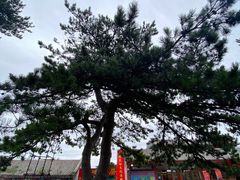 -妙峰山风景名胜区