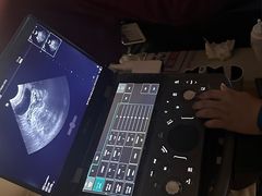 -瑞派康怡24h宠物医院·犬猫医疗中心·微创绝育(瑞景分院)