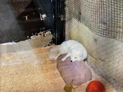 -酷嗒动物文化乐园(cutezoo西溪乐天城店)