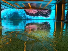 -浅深(北京北四环精品店)