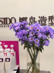 -YESIDO椰岛造型
