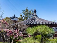 -西安华清御汤酒店