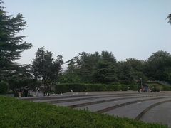 -紫荆山公园
