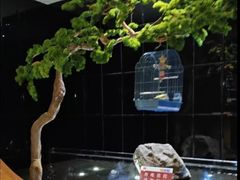 -同庆楼(天鹅湖万达店)
