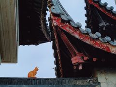 -苏州上方山国家森林公园