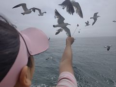 -海驴岛(荣成市)