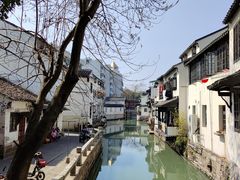 -沈记青团