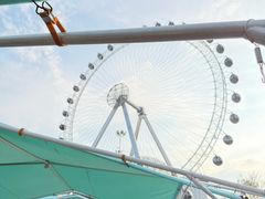 -海合安武汉极地海洋公园