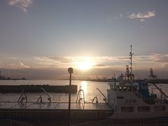 -大阪海游馆
