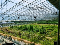 -大连北马山庄