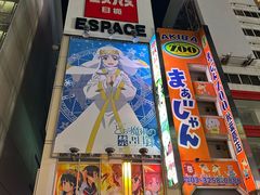 -秋叶原电器街