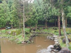 -重庆睡佛山森林公园