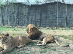 -北京野生动物园