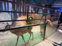 -酷嗒动物文化乐园(cutezoo西溪乐天城店)