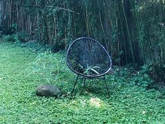 -胶囊画廊