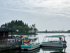 -杭州湾海上花田景区