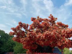 -芜湖方特东方神画