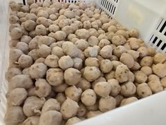 -邵子牙·中华老字号(定安路店)