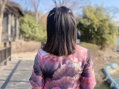 -高子水居