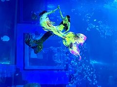 -正佳极地海洋世界