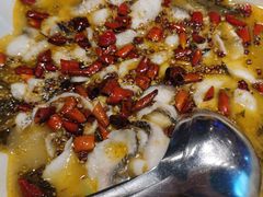 撒椒酸菜鱼-撒椒·四川江湖菜(大族广场店)