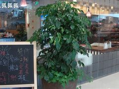 门面-黑松白鹿(崇文门新活馆店)