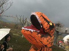 -天适樱花悠乐园