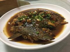 -全乐鱼馆·淳牌有机鱼直营店