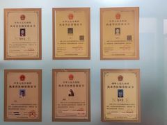 -伟伟宠物医院·瑞派猫友好医院·猫科(光谷店)