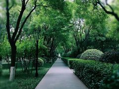 -唐城墙遗址公园