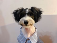 -PETKIT小佩宠物(古北店)