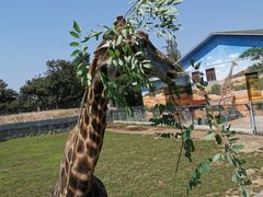 -西安秦岭野生动物园