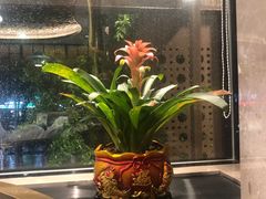 -香港新发烧腊茶餐厅(水围店)