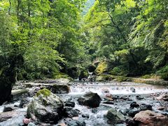 -西岭雪山大飞水景区