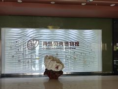 -青岛贝壳博物馆
