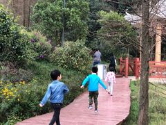 -广州市石门国家森林公园