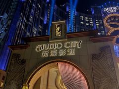 -影汇之星8字形摩天轮