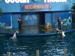 -苏州海洋馆