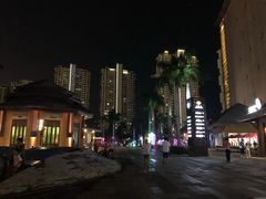 -三亚湾红树林度假世界(木棉酒店)