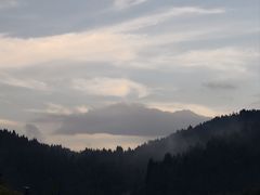 -武陵山森林公园