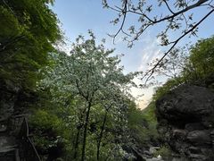 -云岫谷自然风景区