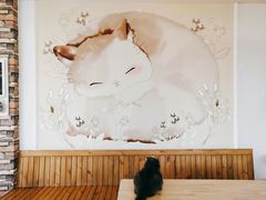 -猫的茶·猫咖