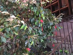 -童年小筑餐厅(申花路店)