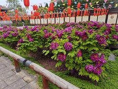 -洛阳周公庙博物馆