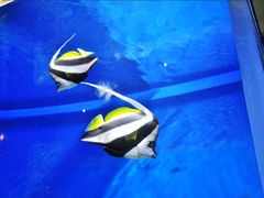 -福州罗源湾海洋世界旅游区