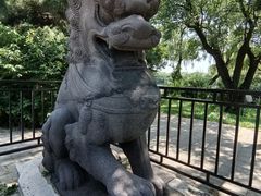 -北陵公园