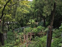 -昆明动物园