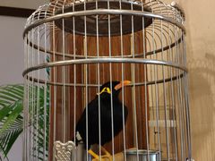 -杭州香格里拉·香宫中餐厅